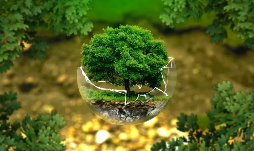 Agir pour l’écologie numérique : réduire l’impact environnemental de votre site web